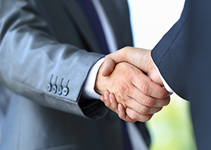 business-handshake-29647630